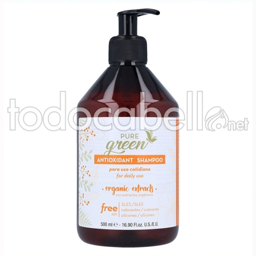 Shampoo antiossidante organico verde puro 500ml