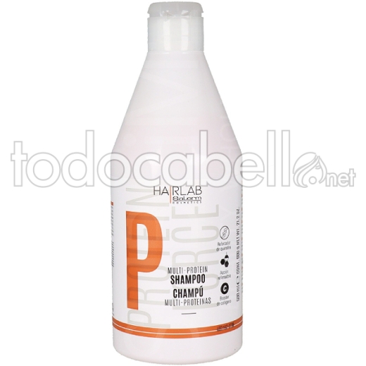 Salerm Shampoo proteine 600ml