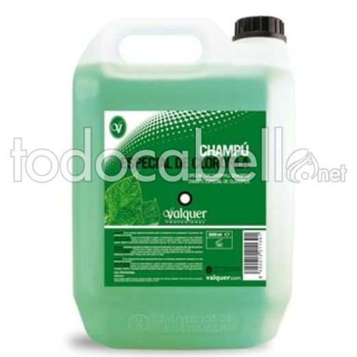 Valquer Garrafa 5L clorofilla Shampoo