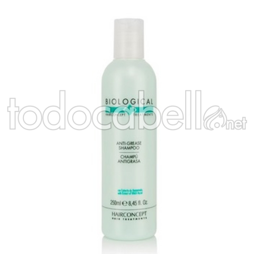 HC Hairconcept Shampoo 250ml antigrasso