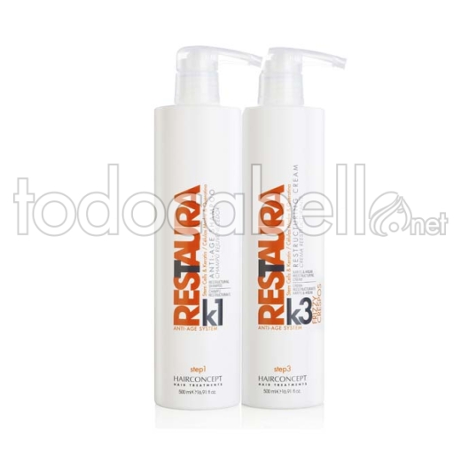 HC Hairconcept pacchetto Frizzy capelli termica Treatment Shampoo + Maschera ringiovanente