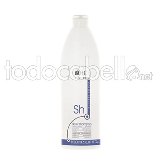 Sh Hairconcept argento Shampoo 1000ml