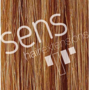 Estensioni dei capelli 100% naturale Reny umana cucito No.15 90x50cm Smooth