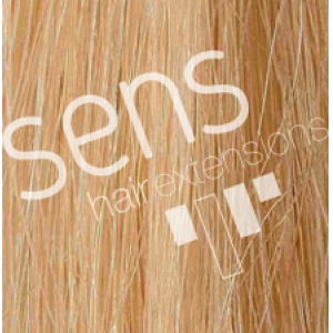 Estensioni dei capelli 100% naturale Reny umana 90x50cm Smooth cucito Nº24